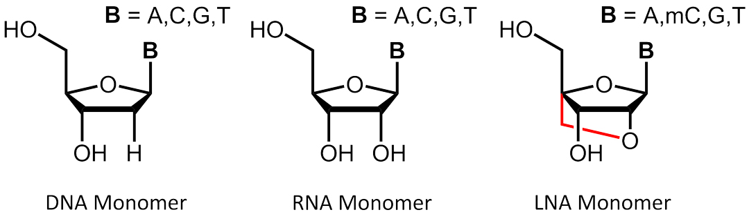 IDT Affinity Plus qPCR̽LNAi̽һ(j)̱ƽ