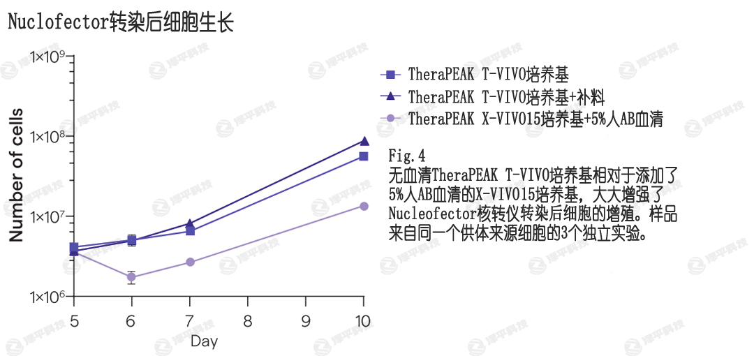 NucleofecterD(zhun)ȾT-VIVOB(yng)ṩߵD(zhun)Ⱦ(x)ֳ ƽ