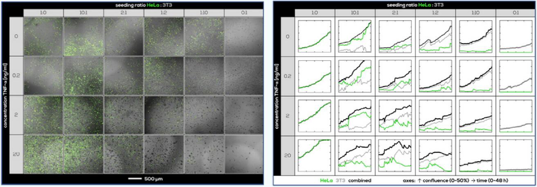 Axion CytoSMART Omni(ni)ȫԄ(dng)(x)ϵy(tng)(x)B(yng)